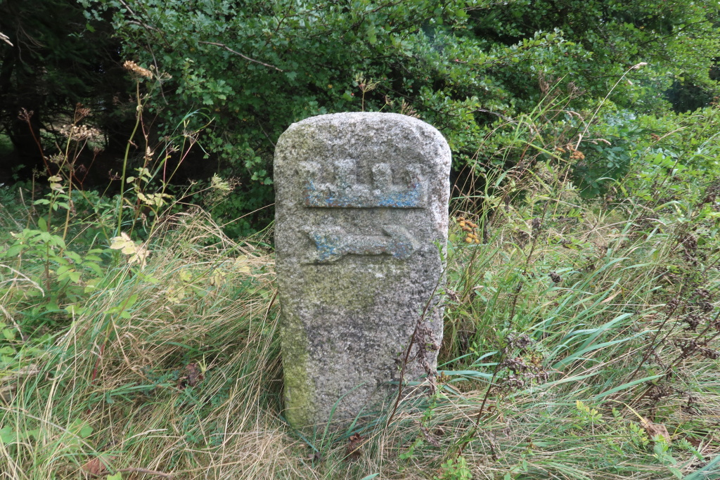 Kámen s původním značením Modré hřebenovky