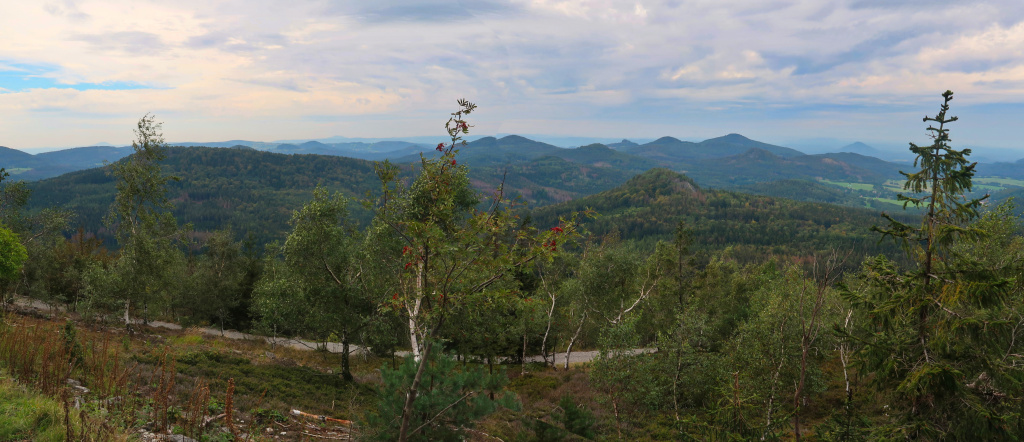 Jedlová panorama 