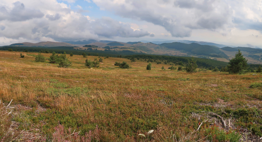 Koznica panorama