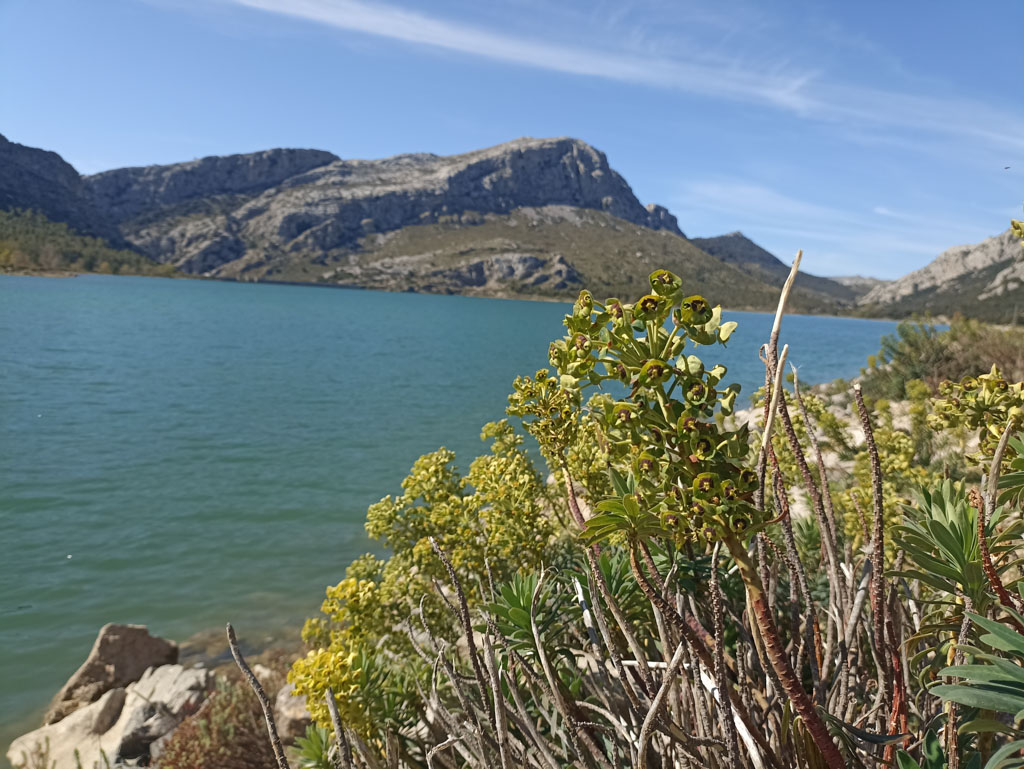 Jezero Cúber na dálkové trase GR 221 na španěské Mallorce 