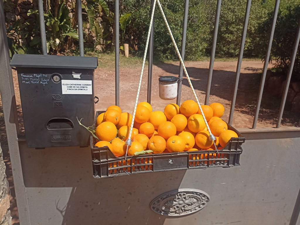 Prodej pomerančů na dálkové trase GR 221 ve městě Sóller na ostrově Mallorca.